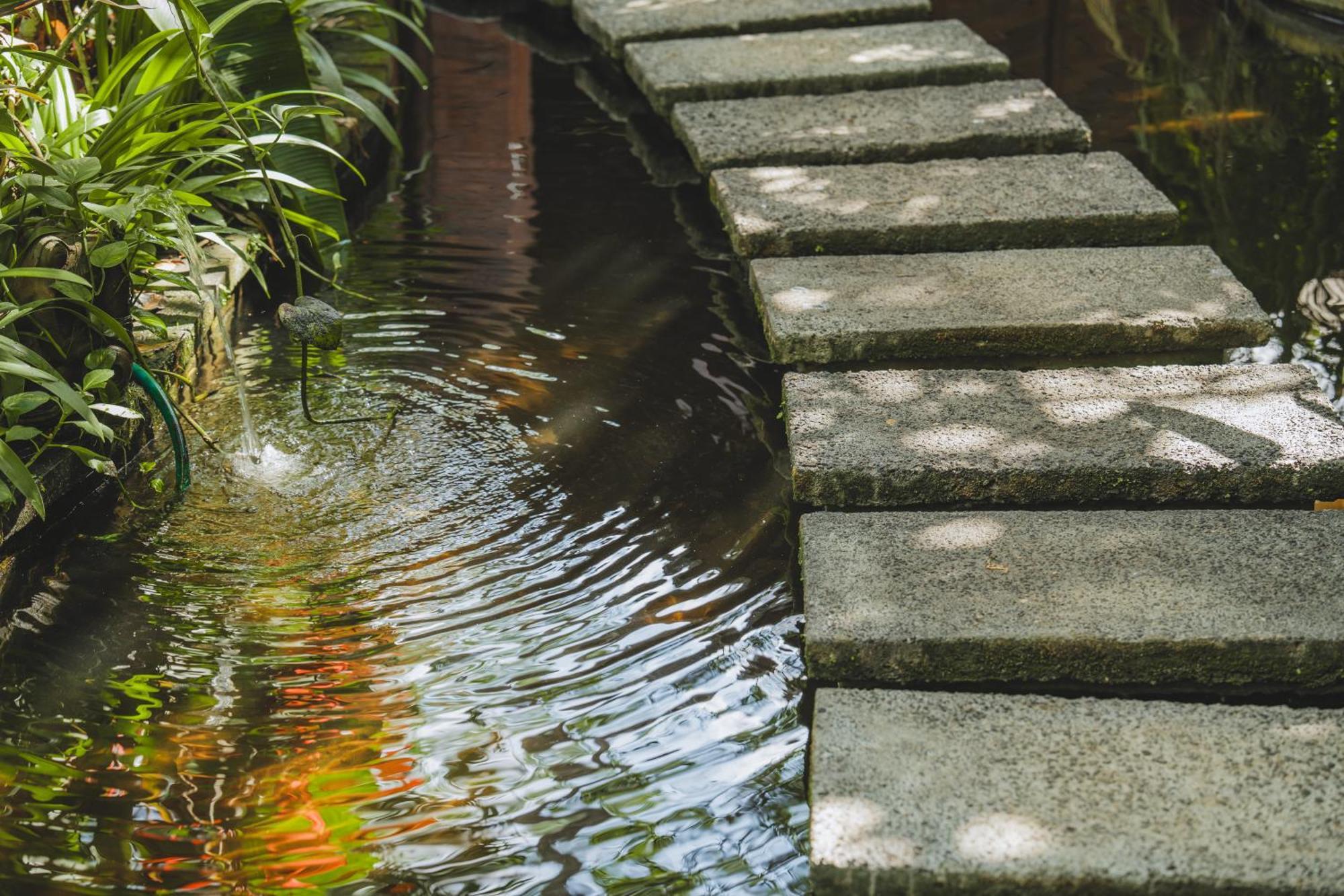 Hotel The Hidden Paradise Ubud - Chse Certified Exterior foto